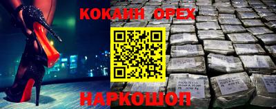 тгк Кингисепп