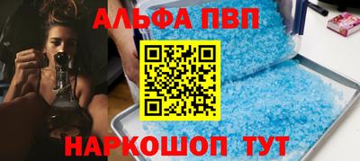 тгк Кингисепп