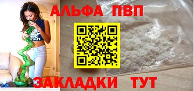 тгк Кингисепп