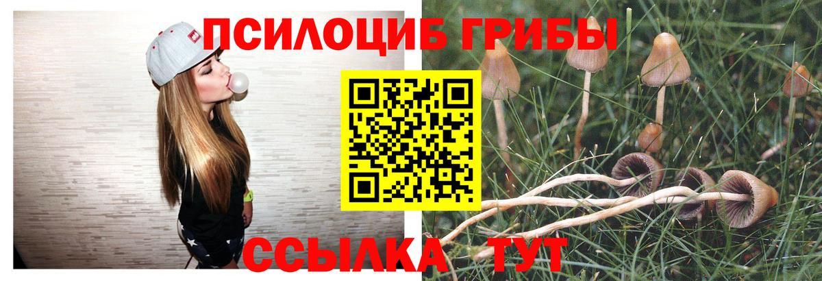 Юрга  Псилоцибиновые грибы мицелий  Вход с VPN 